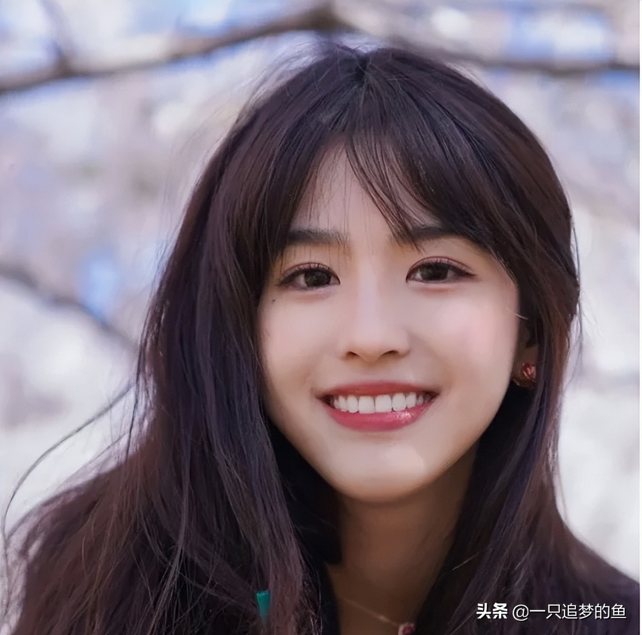 医道官途全部小说,医道官途小说完本