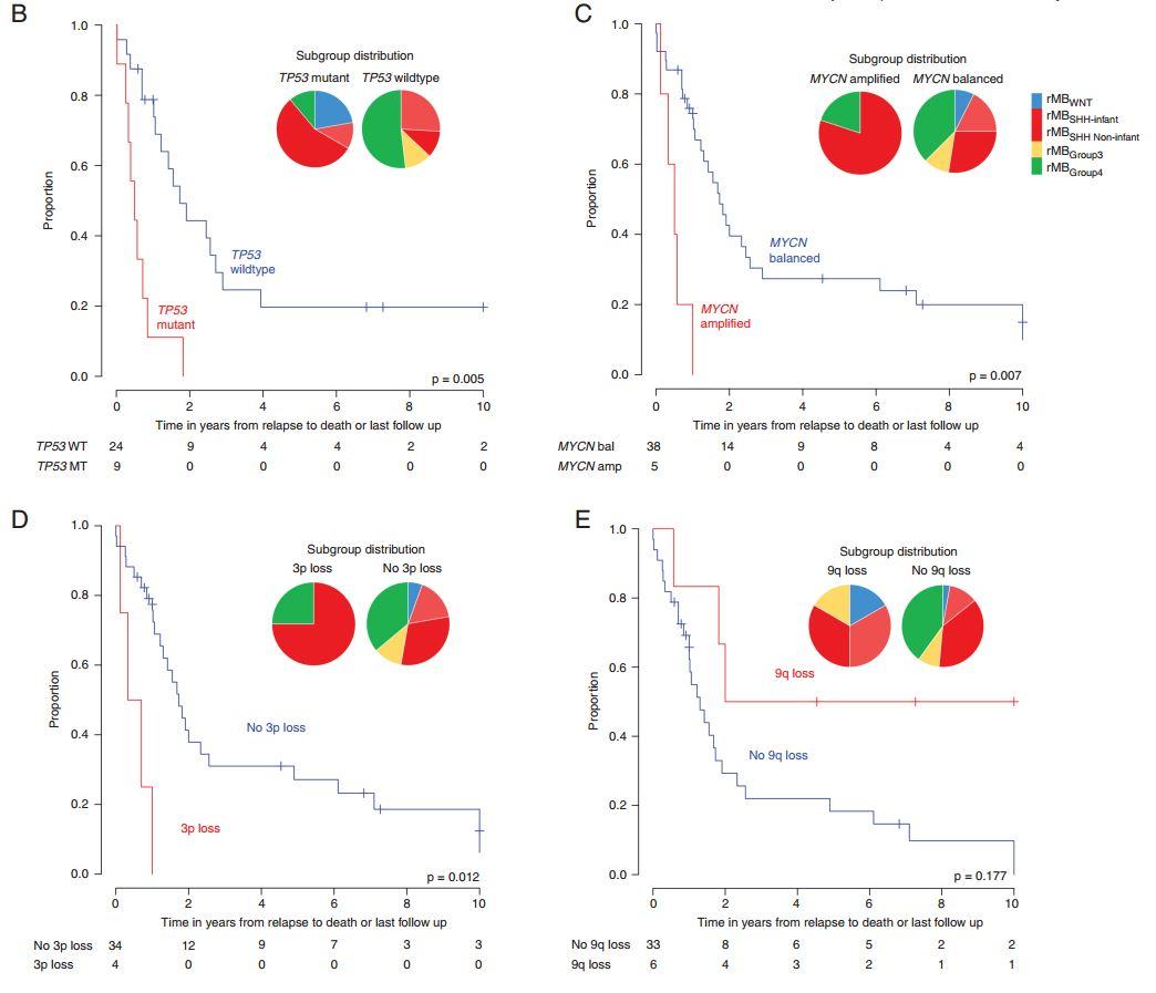 髓母细胞瘤复发的特征,髓母性肿瘤复发