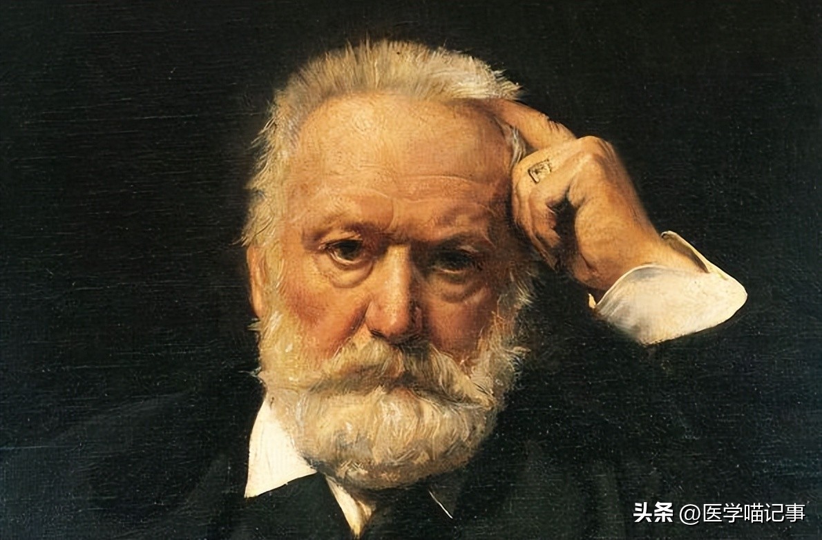 雨果诗歌和小说创作,雨果诗歌和小说创作的成就