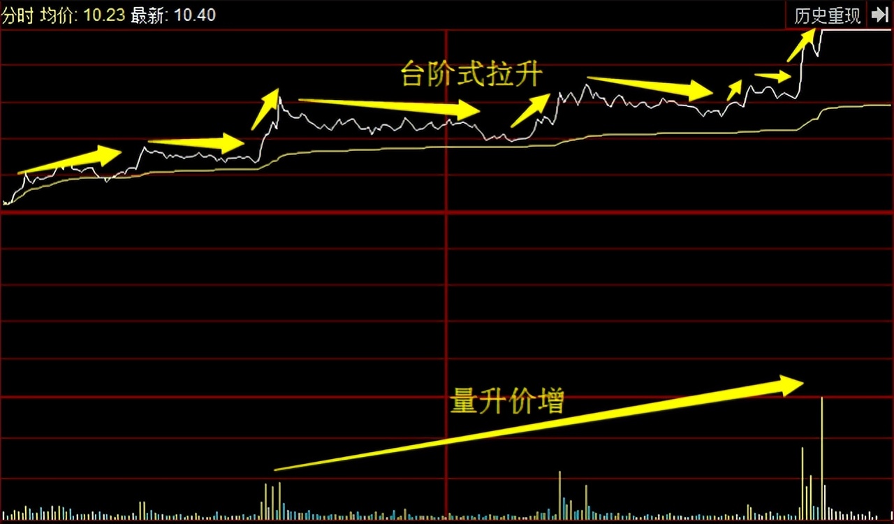 股票知识入门短视频,股票转债入门知识讲解