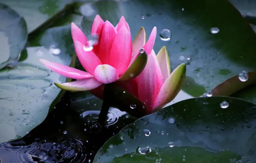 教你开美食小吃店,如何开餐饮外卖小店