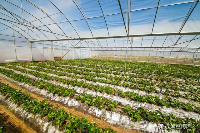 农村电商发展存在的问题有哪些,农村电商发展存在问题和建议