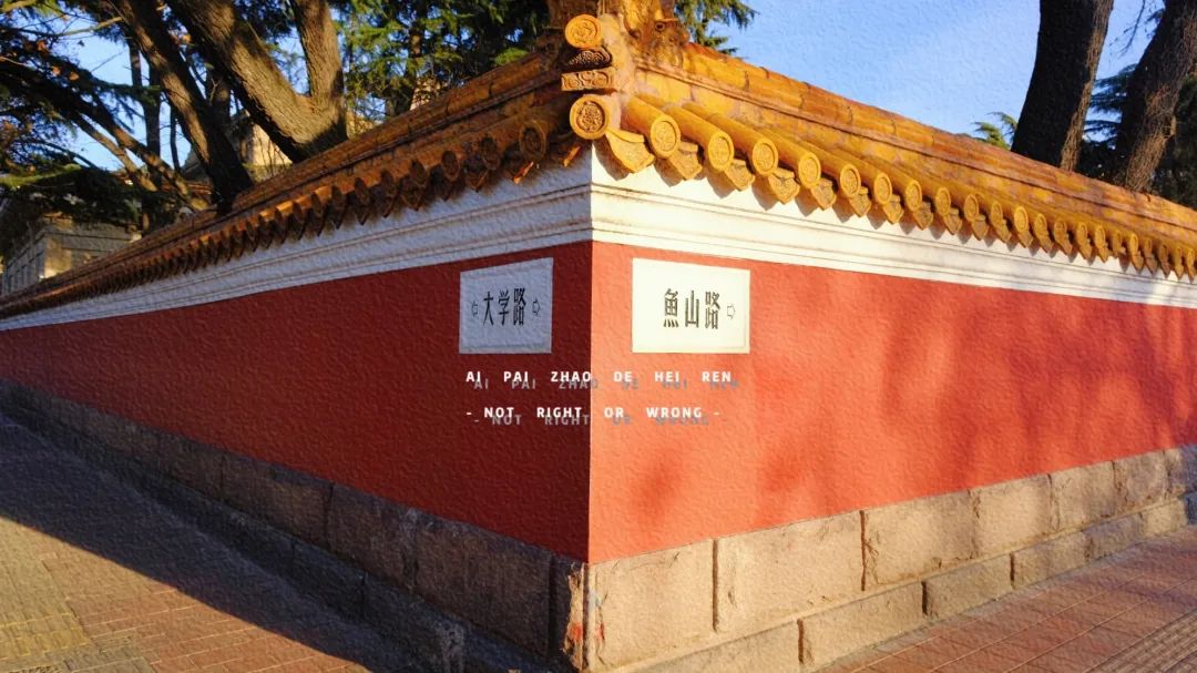 四月来青岛不可错过的打卡地,青岛绝美打卡点