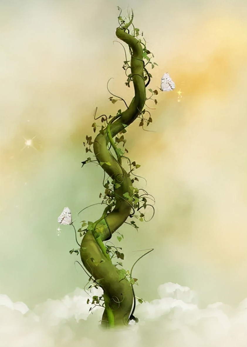 藤萝cp,藤萝是男的女的