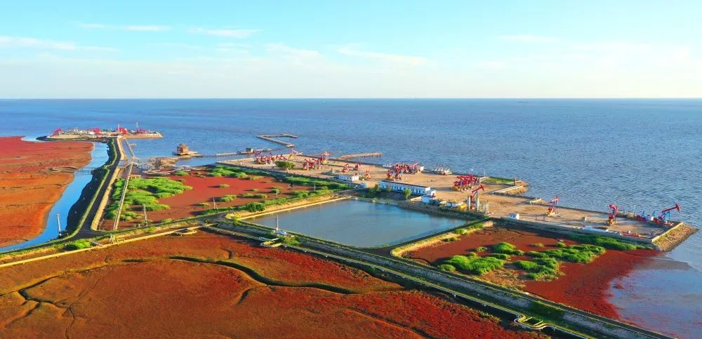 旅游图片合集多张海边,七月的红海滩景色怎么样