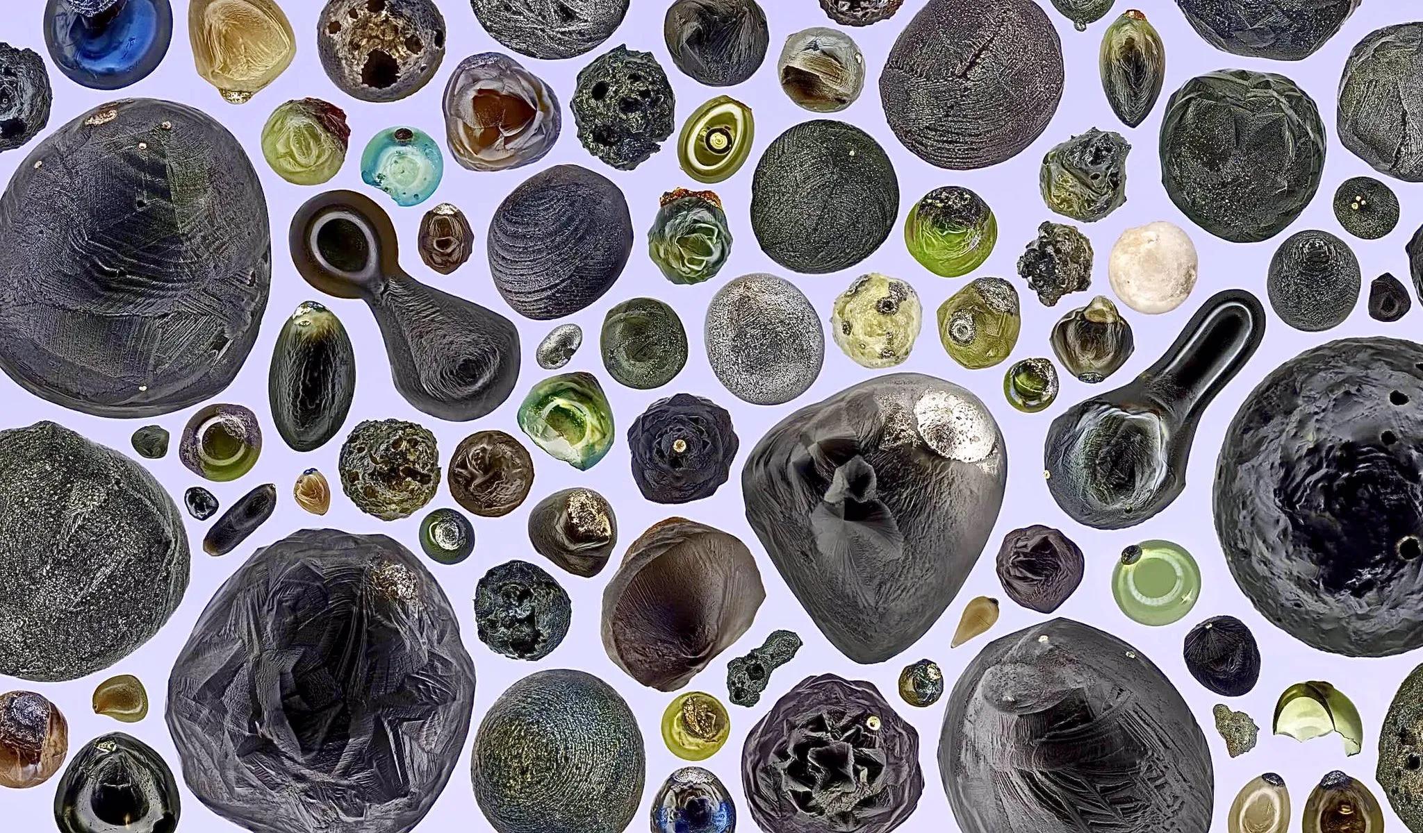 手指在显微镜下太恐怖了,显微镜下的恐怖世界蝎子