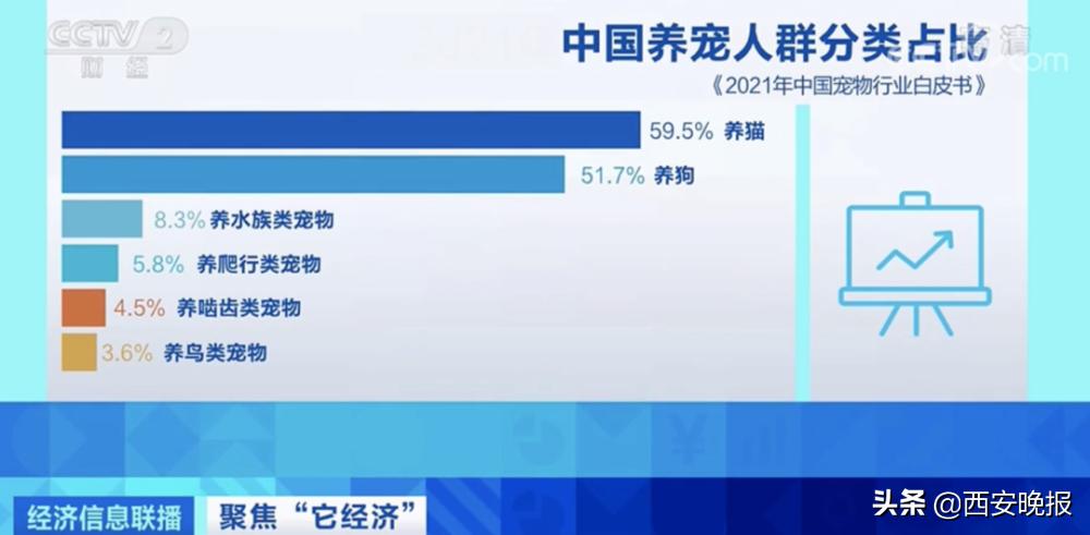 1个视频就能赚几十万元？！“它经济”火了