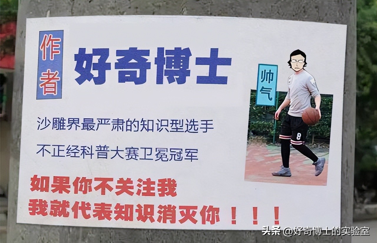 到底住几楼以上夏天才没蚊子,住多少楼层会没有蚊子