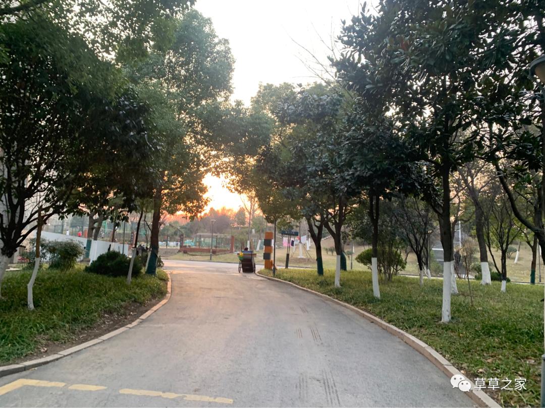 合肥一中有一个后花园，你进去玩过吗？早春里的一中后花园