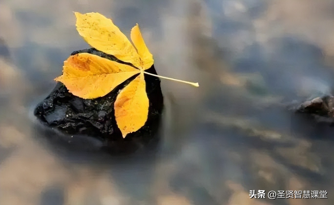 南怀瑾减肥最快的方法,南怀瑾减肥最有效的方法