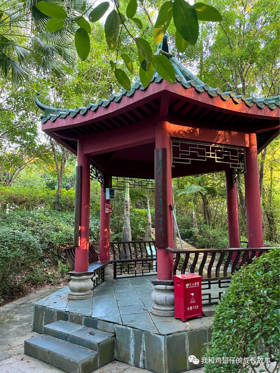 爱美丽深度解读,爱美丽150集免费观看