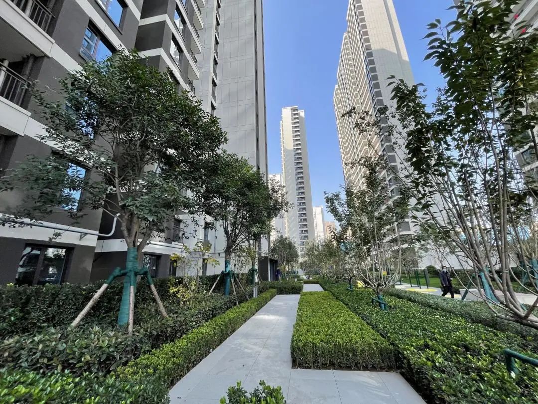 验房金地如期交付,金地2025年交房靠谱吗