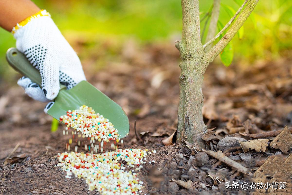 复合肥掺混肥各有什么区别,复合肥复混肥掺混肥哪个好