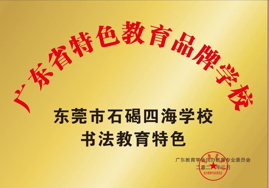 石碣四海学校是公办还是民办,东莞石碣四海学校最新视频