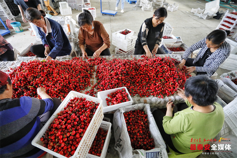 实现乡村振兴良好开局新闻,谱写乡村全面振兴新篇章新闻