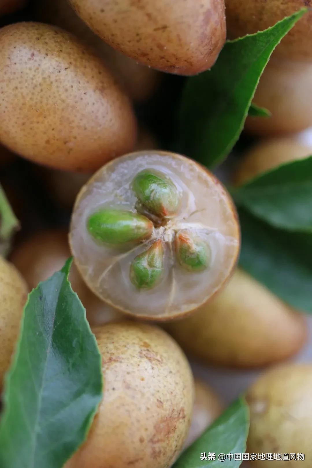 广西水果产量连续五年全国第一,广西和陕西谁才是水果第一大省