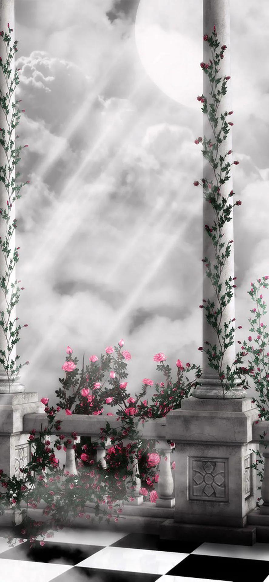 黑白配色壁纸,黑白高清壁纸4k全屏