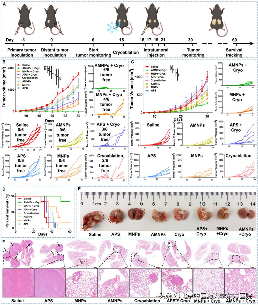 癌症新希望肺癌或可有新的靶向药,肿瘤免疫治疗的新希望