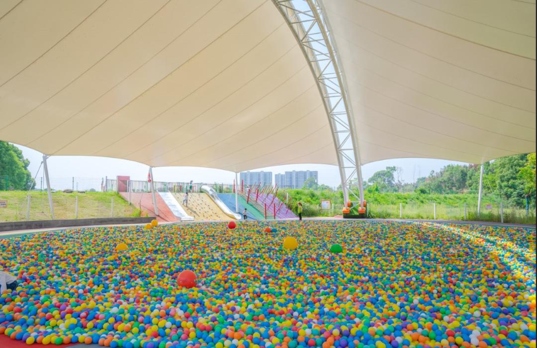 到咸宁看国宝过大年,离家45年的国宝回湖北咸宁过年