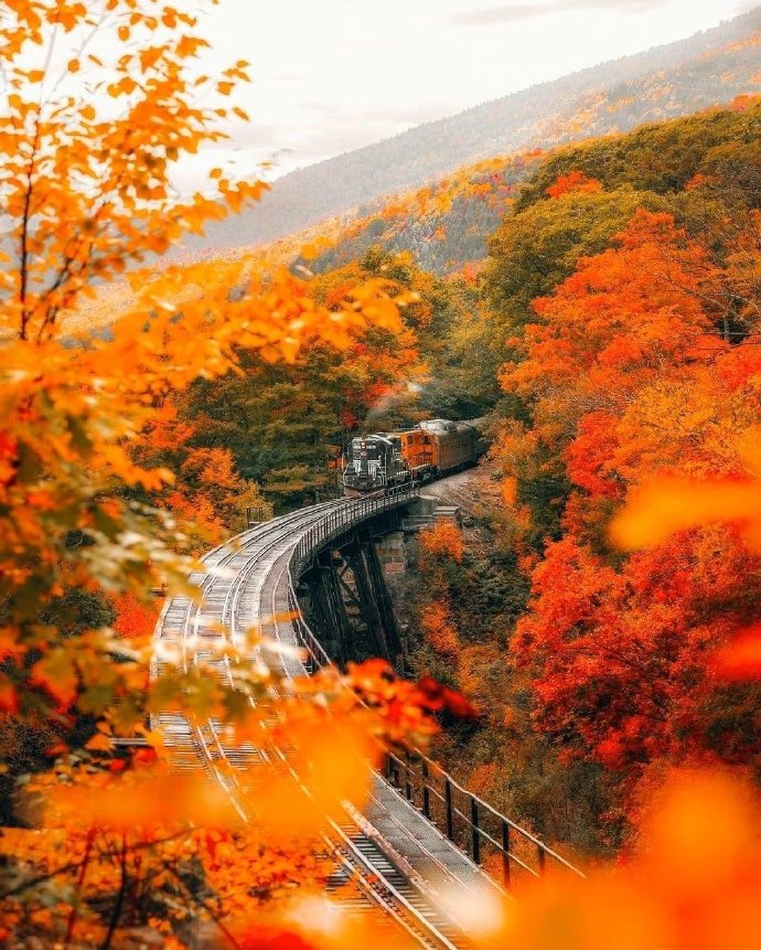 酒店式旅居养老,怎么选择酒店式养老