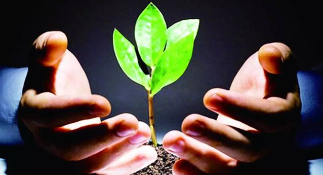 一位大学生创办蔬菜超市，每天有近一万元销售额