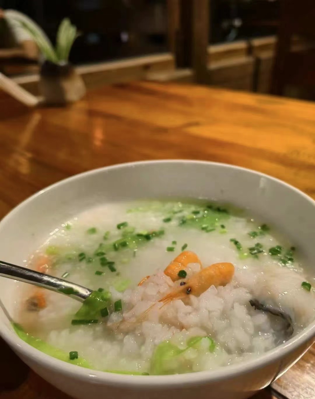 终于去了“中国本土版ClubMed”,乌村也太好玩了吧