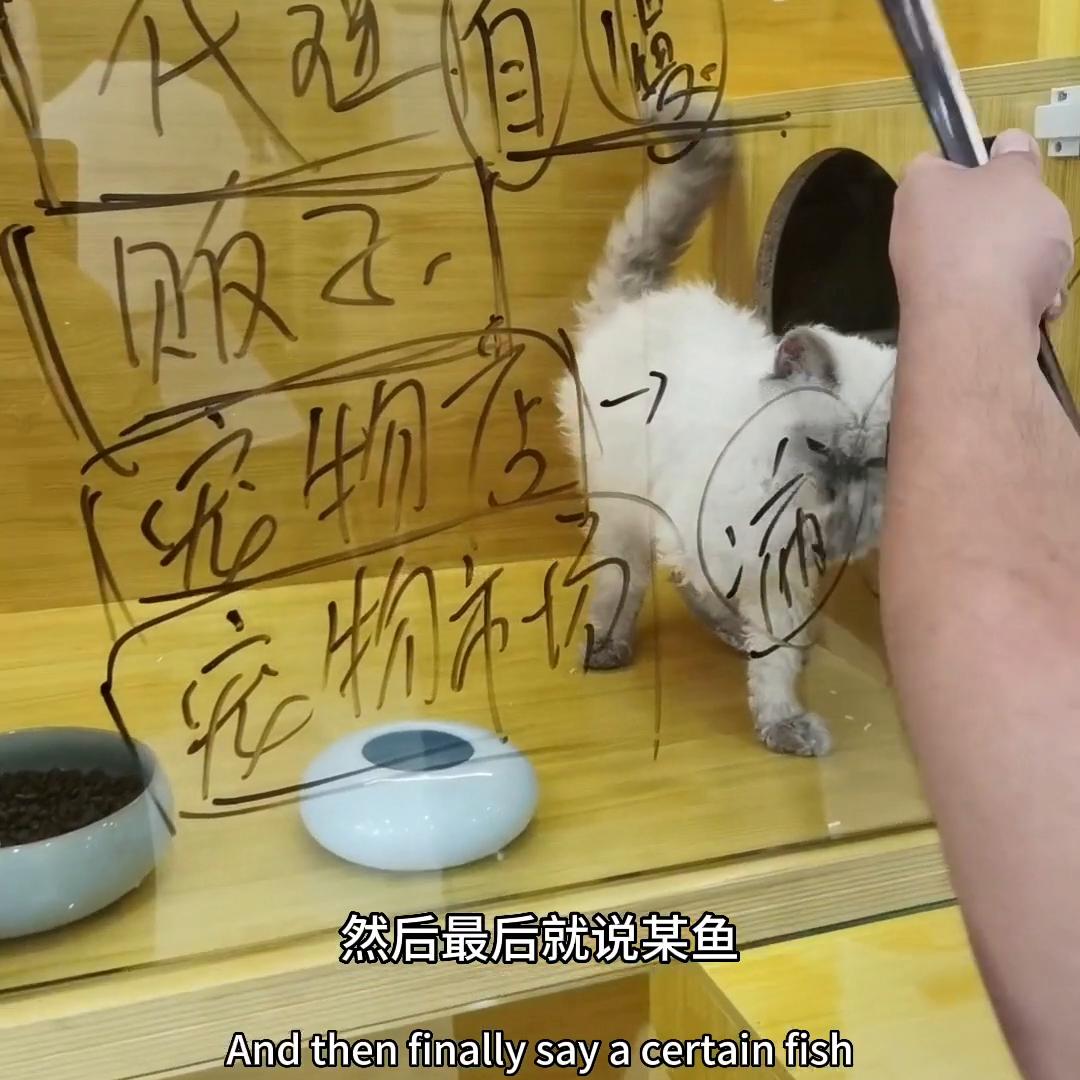 简易说说如何选择合适的销售渠道,渠道销售的话术和技巧