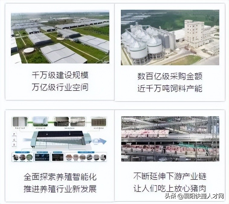 牧原集团五险一金按什么比例交的,牧原公司五险一金是交到了哪里