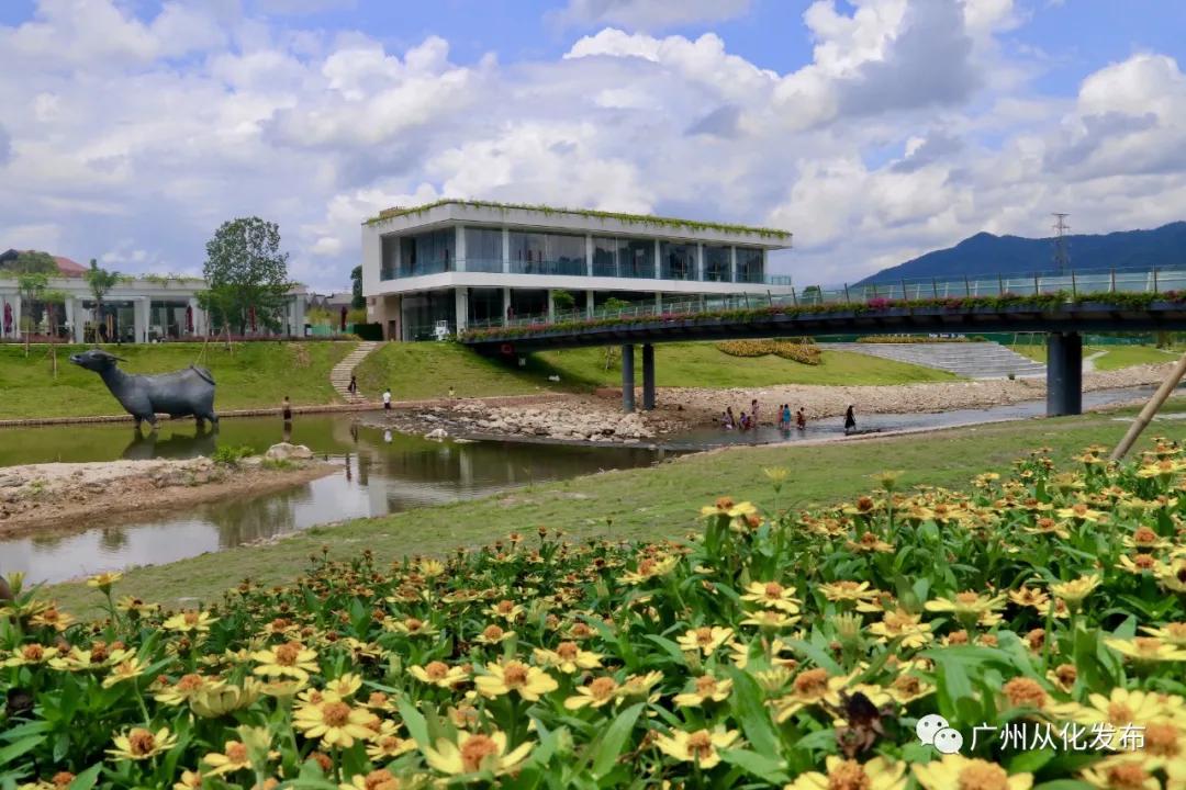高山番薯广东广州从化地区的特产,哪个品种的番薯香甜软糯好吃