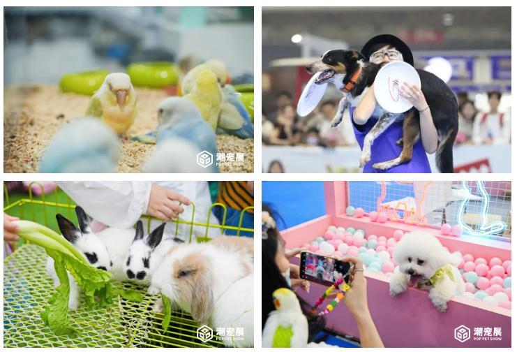 广州国际潮宠展攻略,广州国际潮宠展不买门票可以去吗