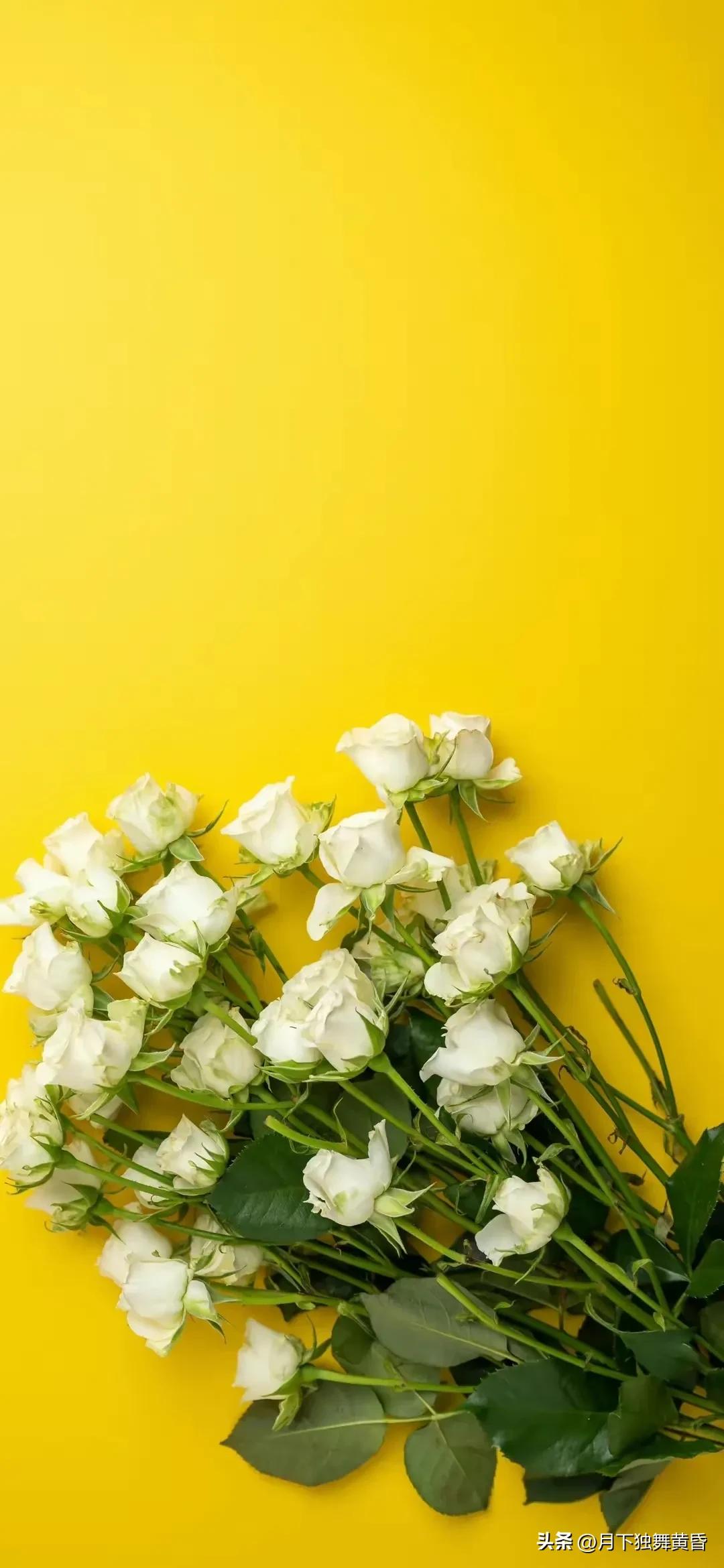 夏天壁纸图高清,壁纸夏天的太阳