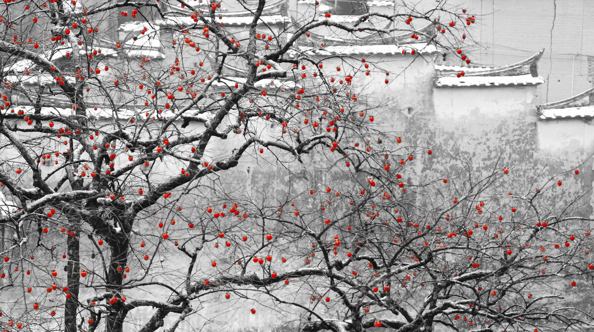 不同月份有什么别称,一到十二月每个月的别称