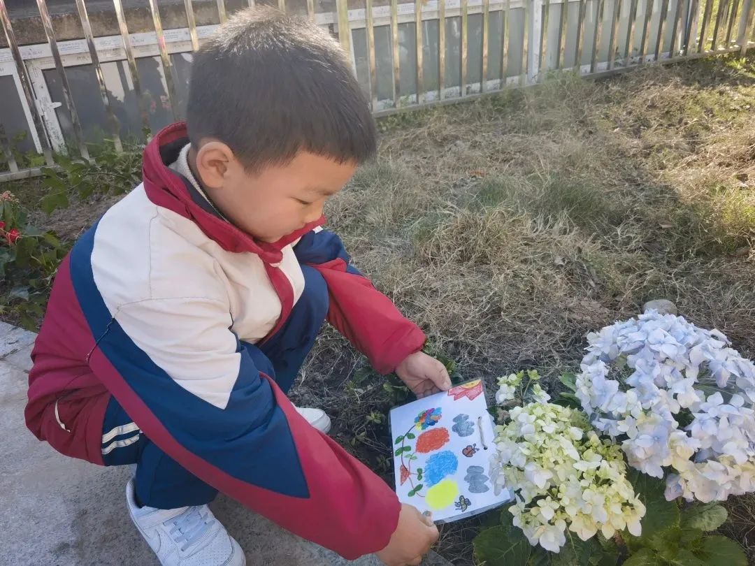 洪雅县第四幼儿园叫什么名字,洪雅第四幼儿园在哪里