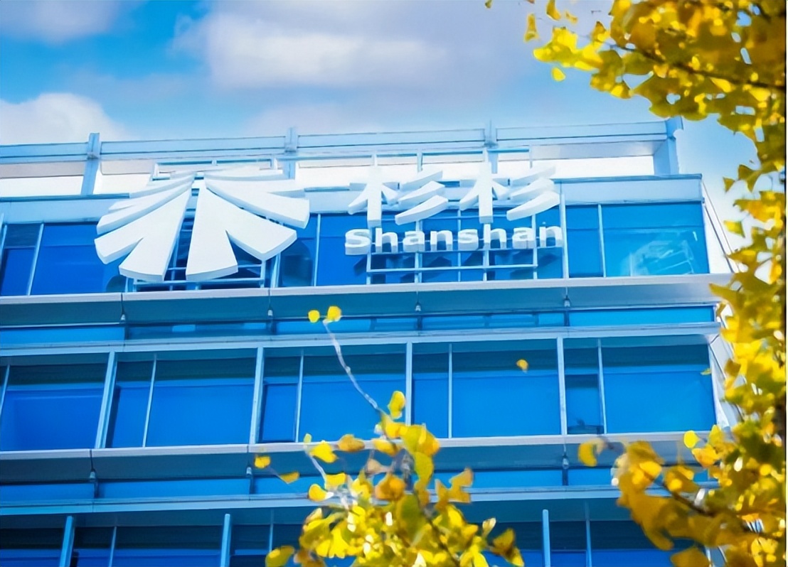 杉杉股份公司深度分析,杉杉股份2023年经营预测