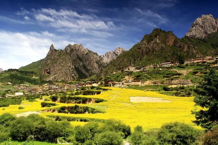 出发西北游,去西北旅行吧