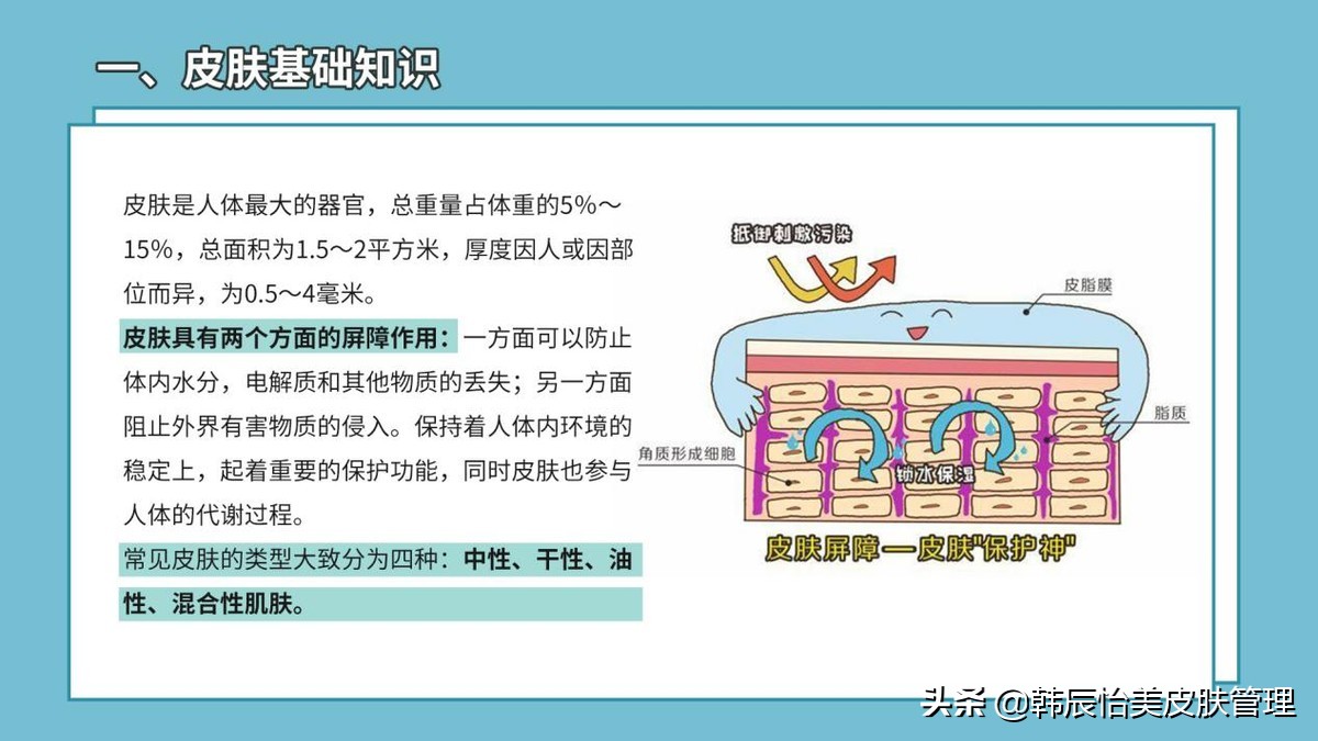 皮肤的护理基础知识,皮肤生理学及护理基础知识大全