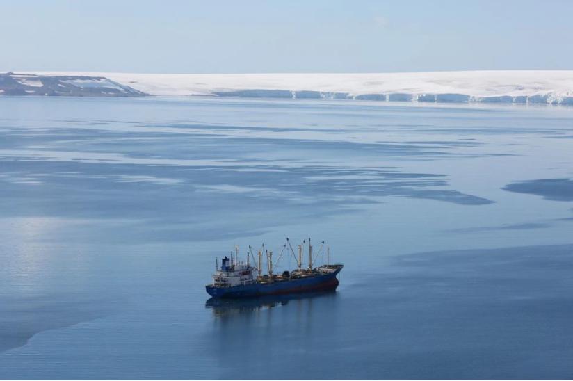 南极磷虾中国每年消费多少吨,南极的磷虾每年产量可高达50亿吨