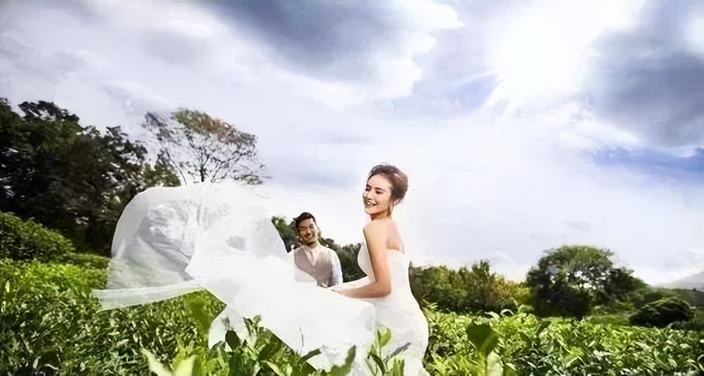 武夷星枞魁茶叶价格 (芳魁茶业有限公司电话)