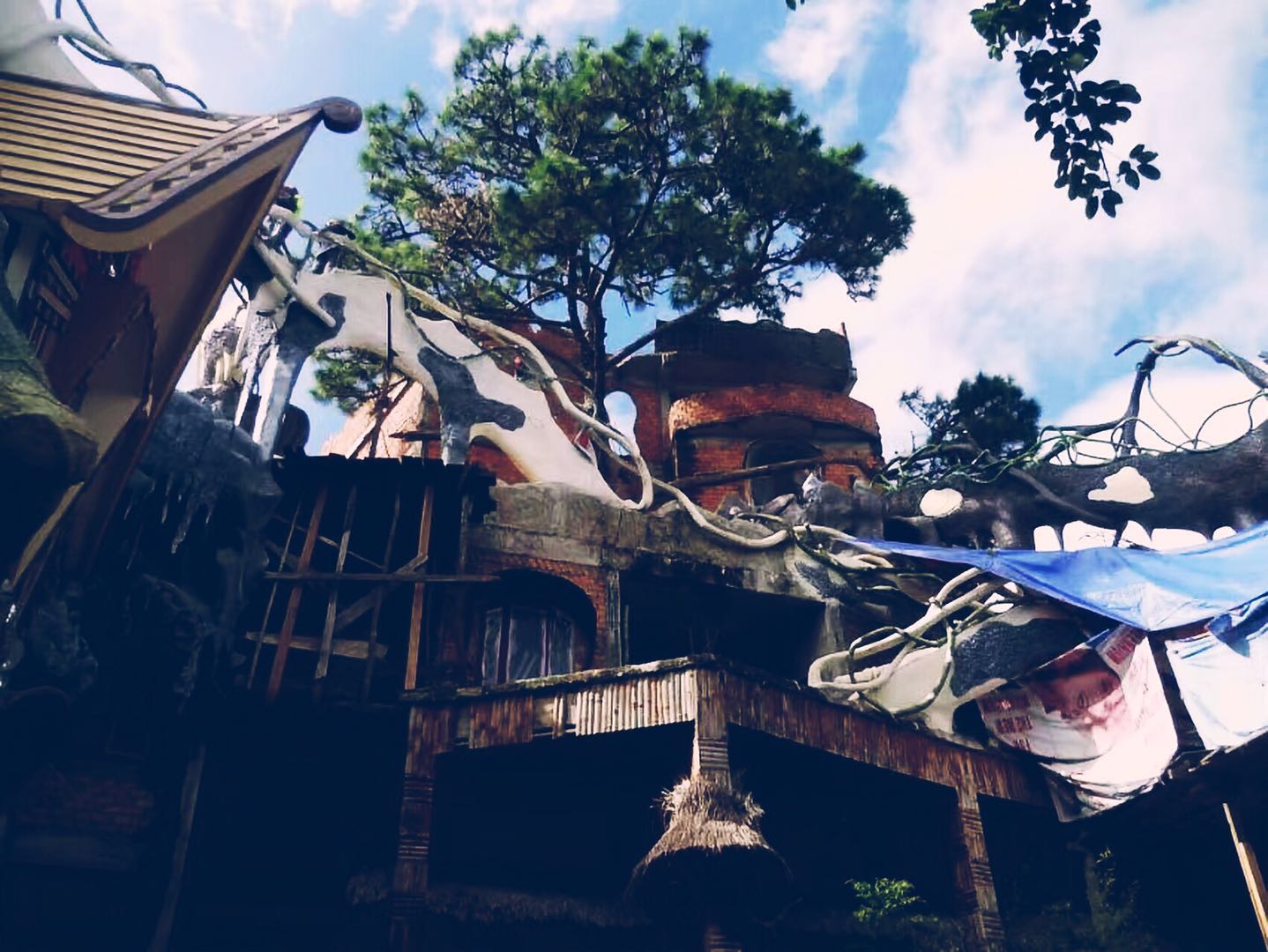 穷游越南全攻略 (越南老挝柬埔寨缅甸四国游多少钱)