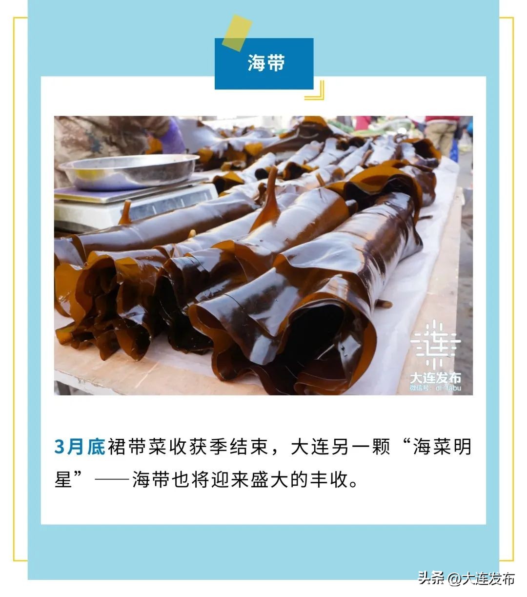 实现海鲜自由的秘诀,实现海鲜自由另一种说法