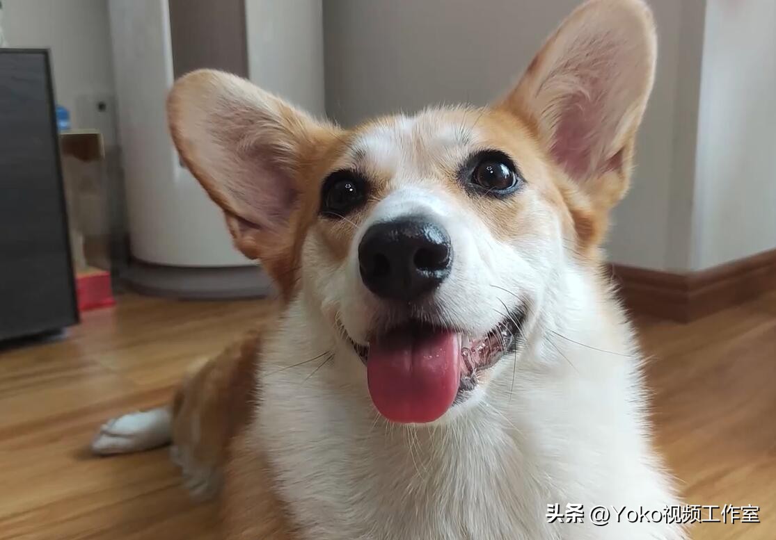 家庭用买轻薄笔记本还是游戏本好,台式机加轻薄本还是买游戏本