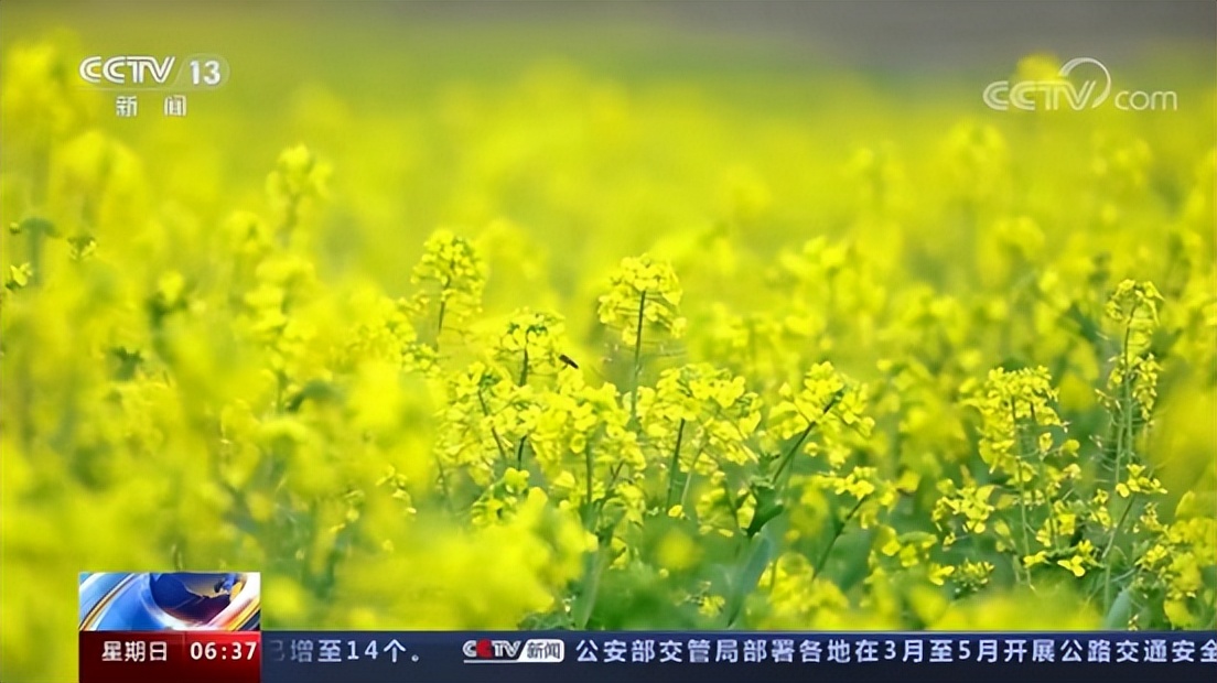 赞!赞!赞!央视《新闻联播》综合头条,《新闻直播间》单条……