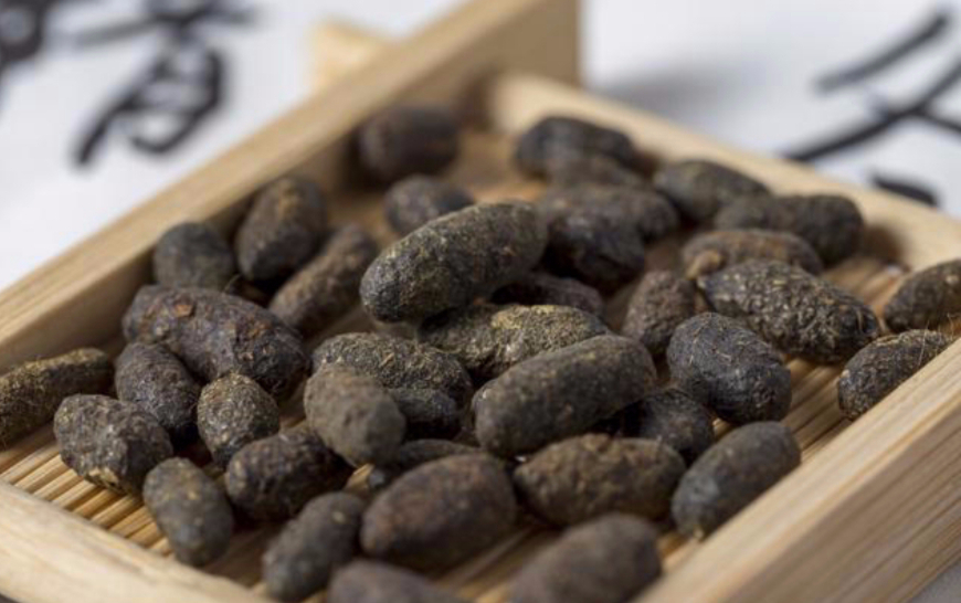 河马粪便致上万条鱼死亡,河马被粪便憋死