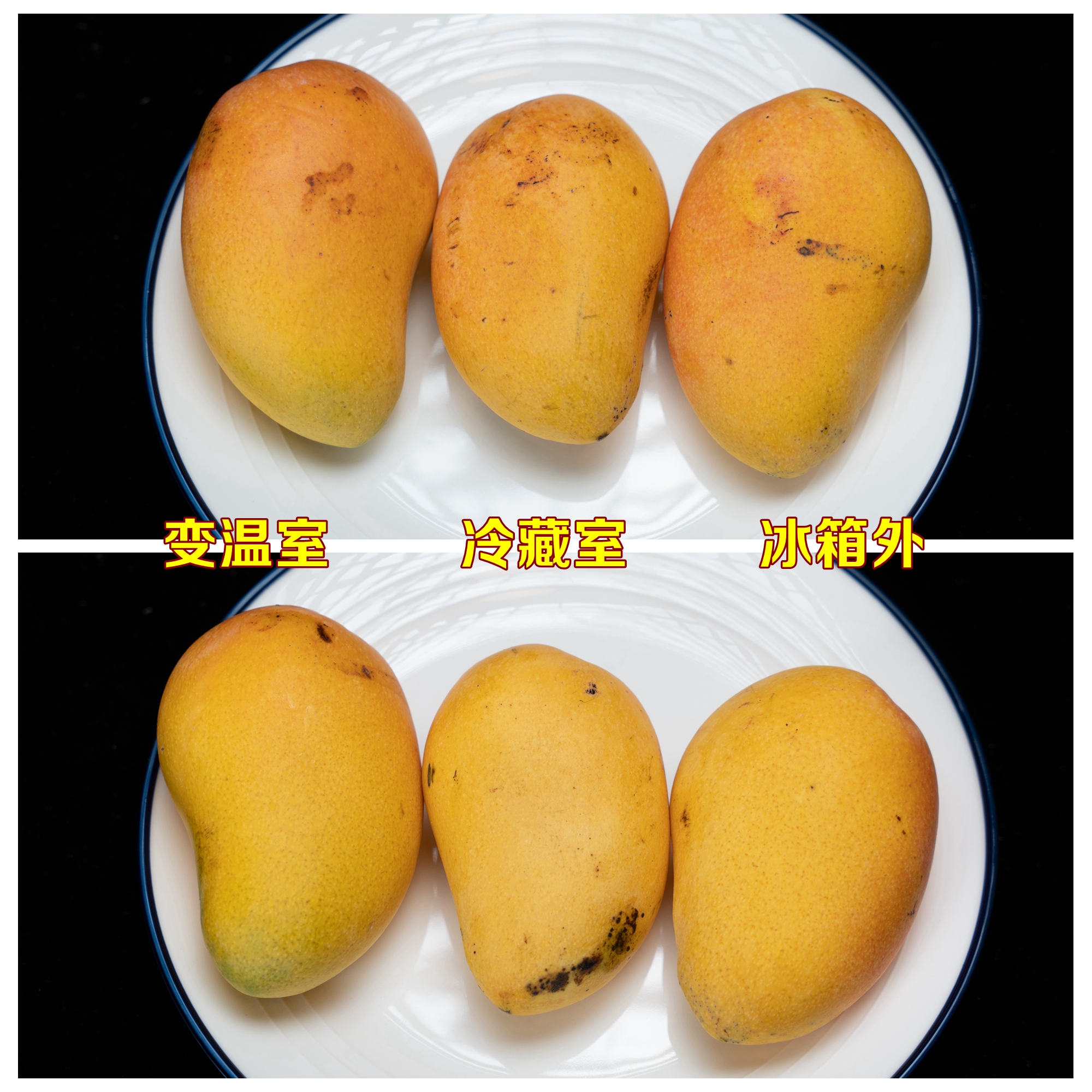 性价比高的冰箱选购参数,2022年618冰箱选购指南