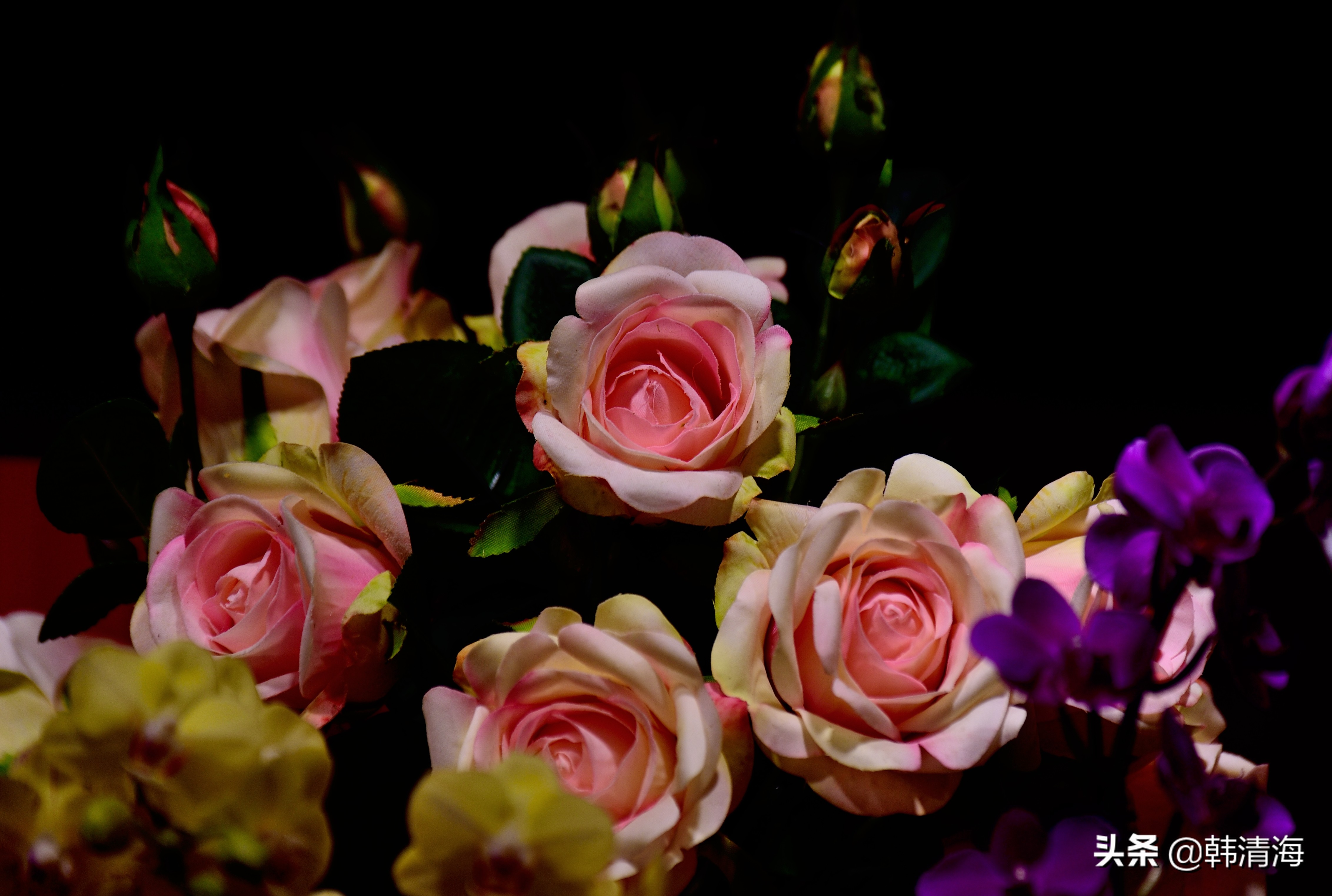 花香满屋真假自辩