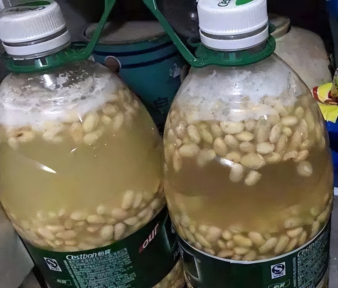 塑料养花小桶,塑料桶养花种菜