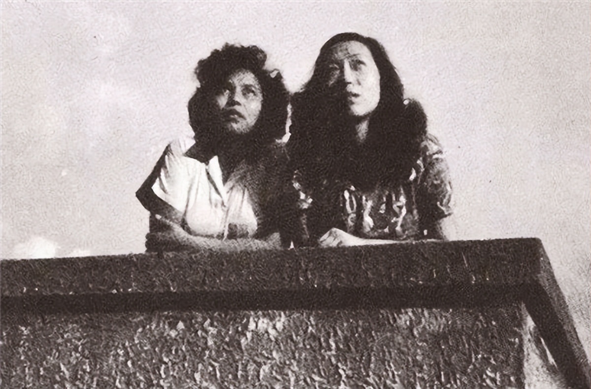 张爱玲为什么身上爬满跳蚤,张爱玲晚年为什么会被跳蚤困扰