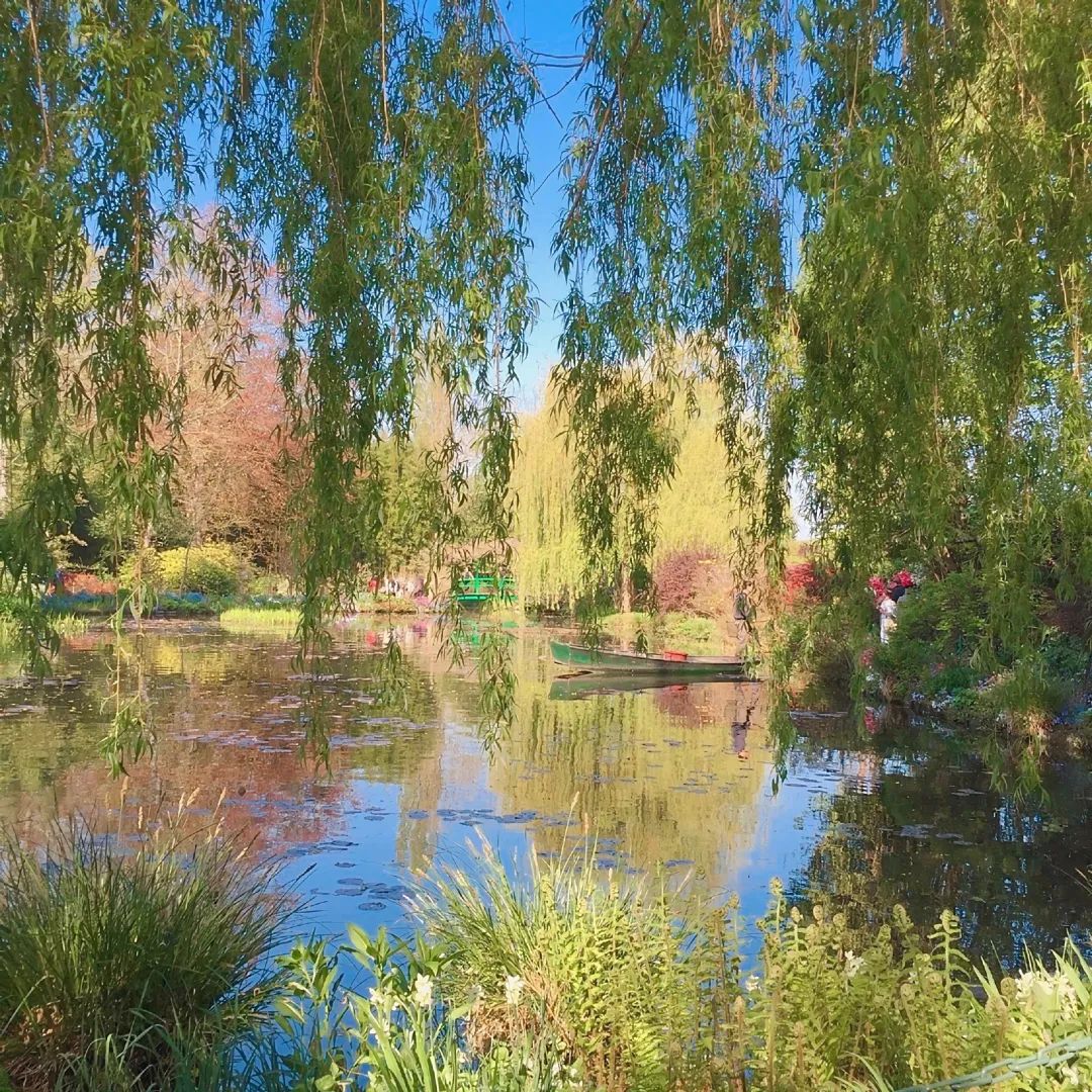 绿色背景图ins高级感小图,干净的背景图ins风冬日高清