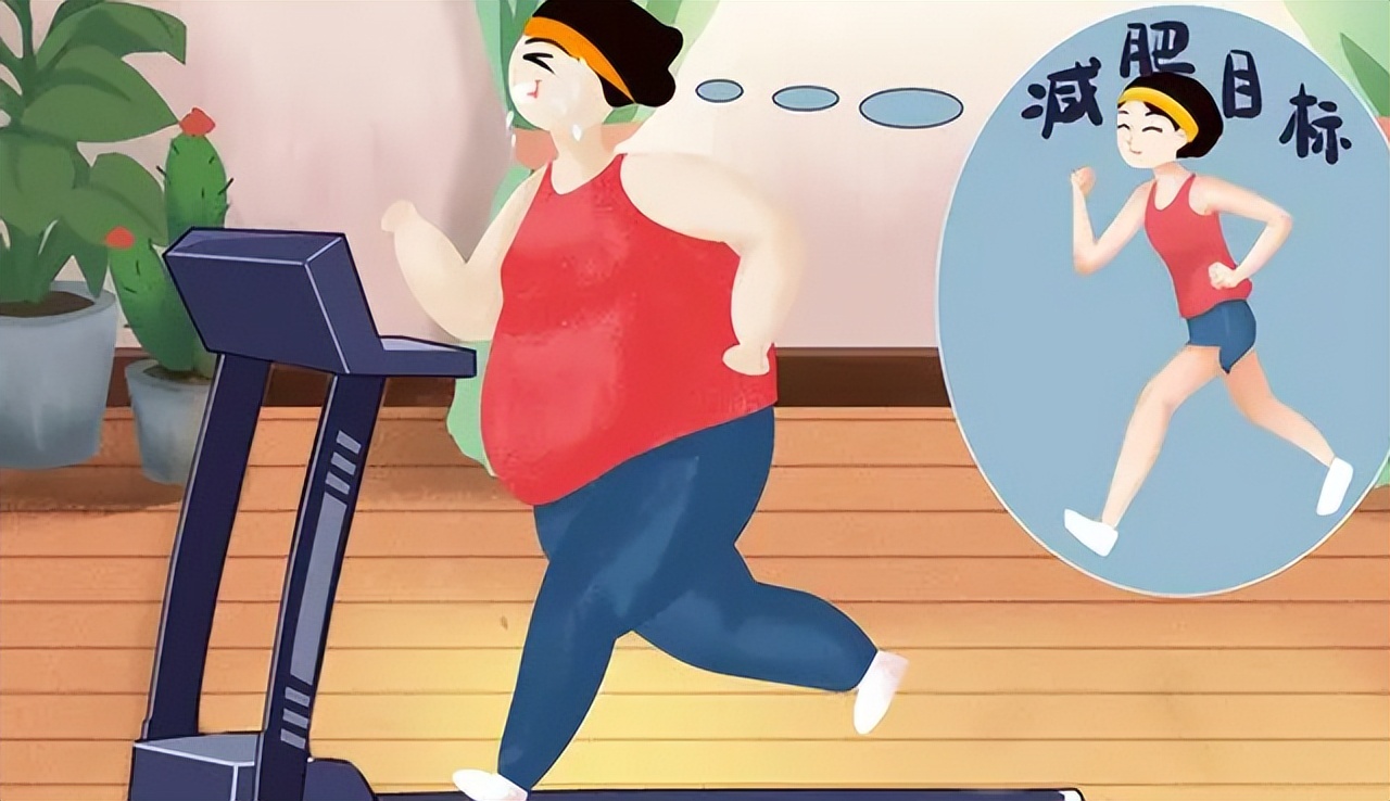 大米和玉米哪个当主食好可以减肥,减肥期间能不能把山芋和玉米吃饱