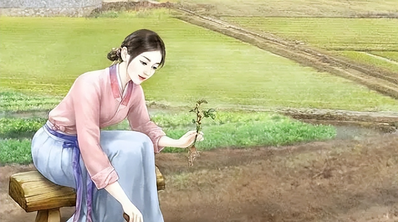 十三本古言：《大药天香》《村里有只白骨精》《云鬓凤钗》